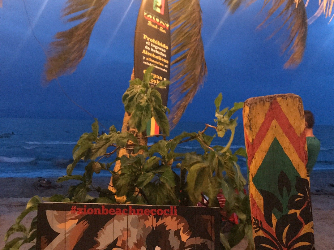 Zion beach bar-Necocli必去景点