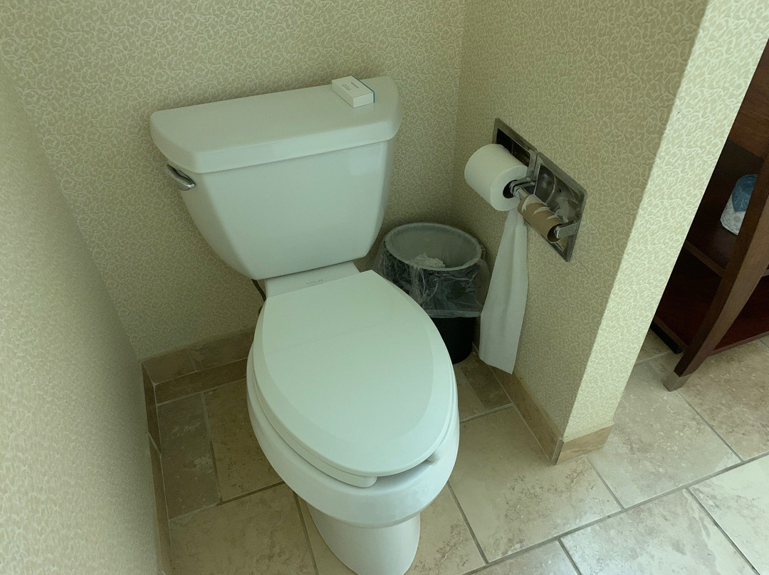 Hampton Inn London-North主图