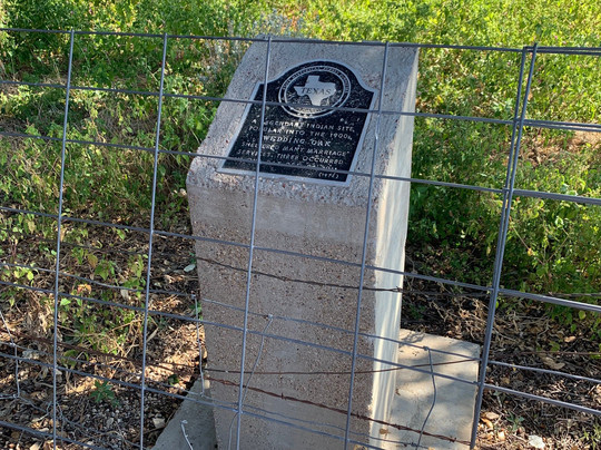 Wedding Oak Tree-San Saba必去景点