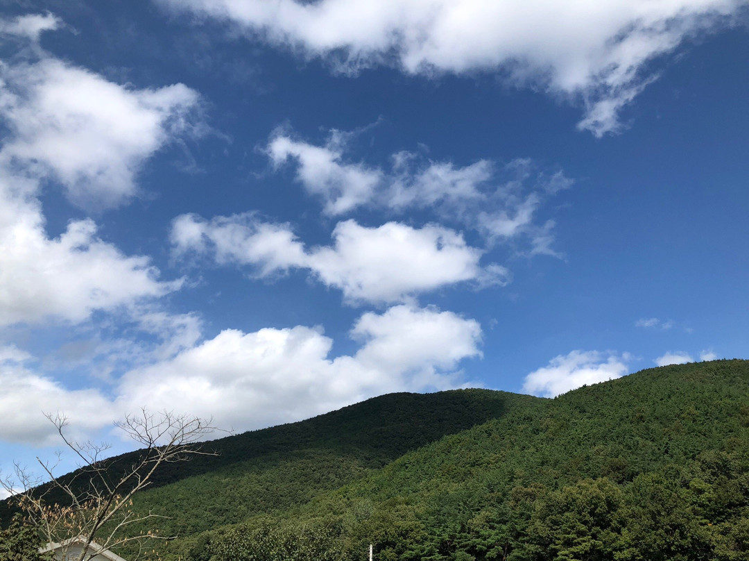 Oksanseowon Confucian Academy-庆州市必去景点