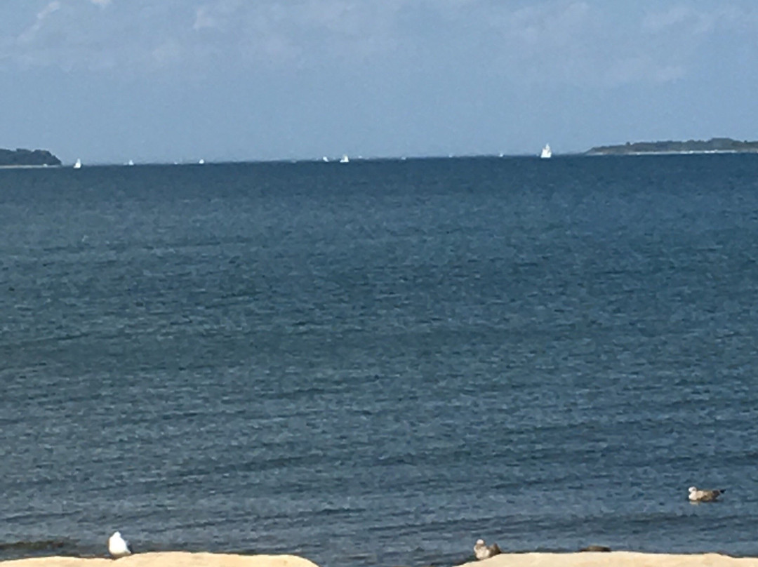 Wollaston Beach-昆西必去景点