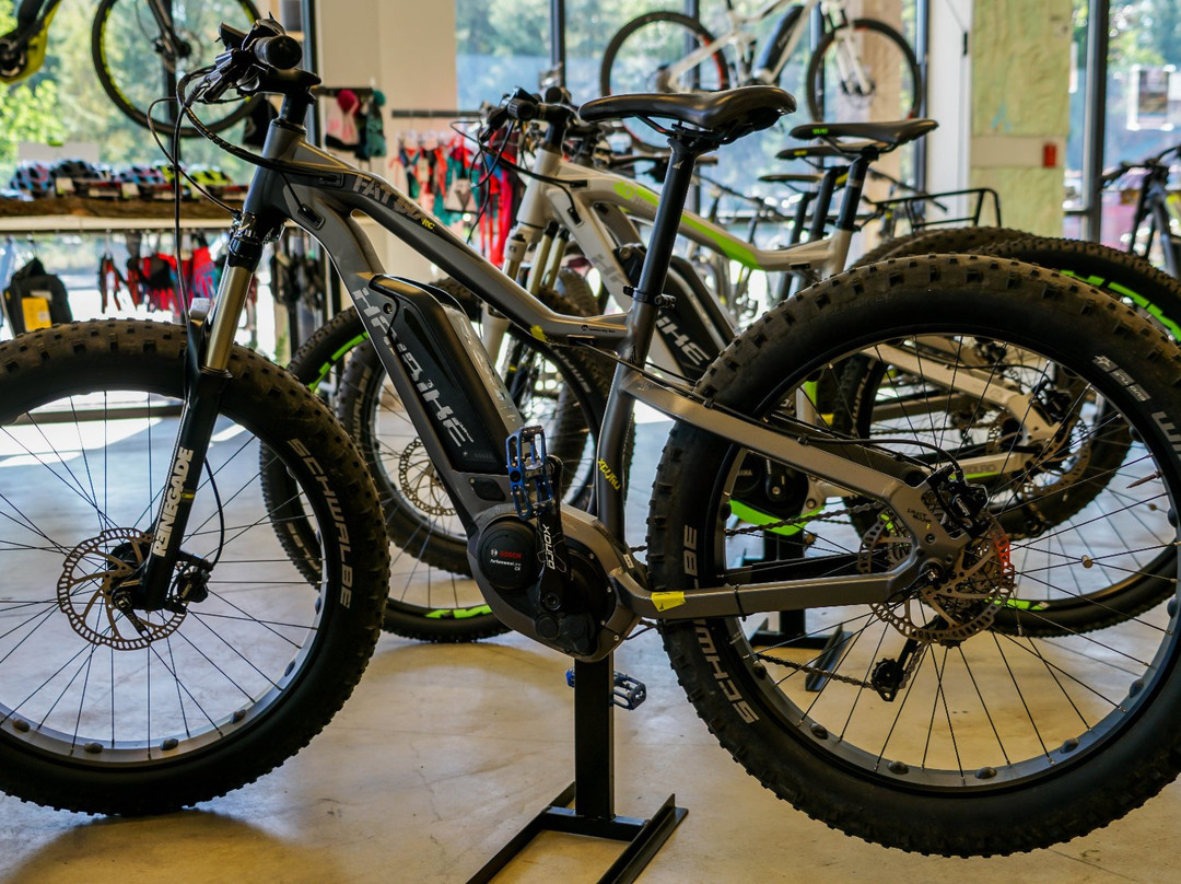 Apex Electric Bike Sales & Rentals-McCall必去景点