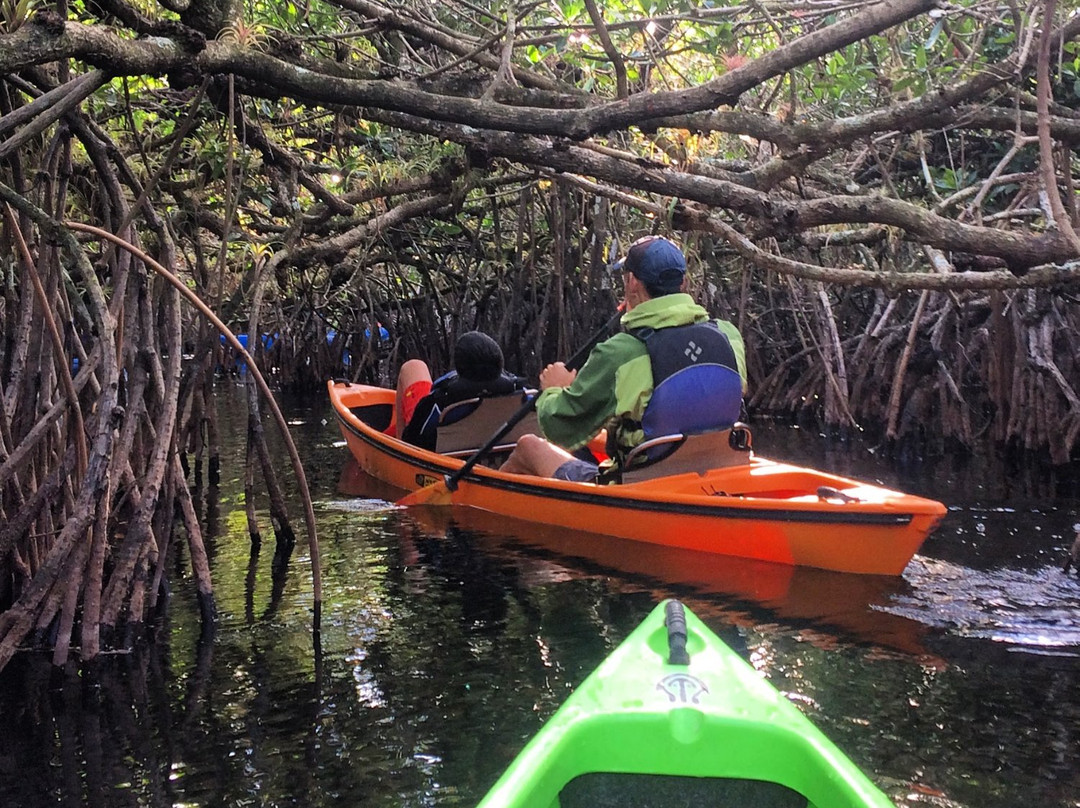 Shurr Adventures Everglades景点图片