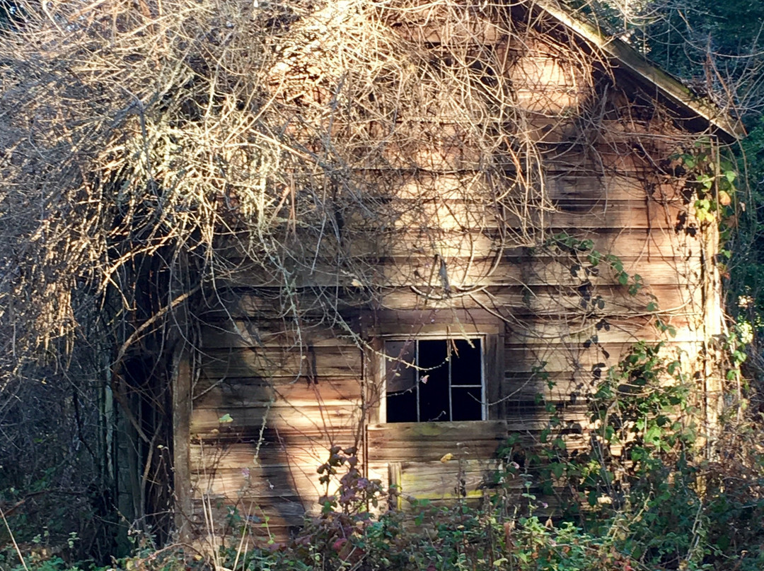 Burleigh Murray Ranch State Park-半月湾必去景点