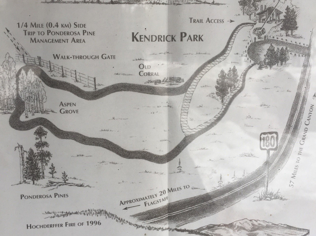 Kendrick Park Nature Trail-弗拉格斯塔夫必去景点