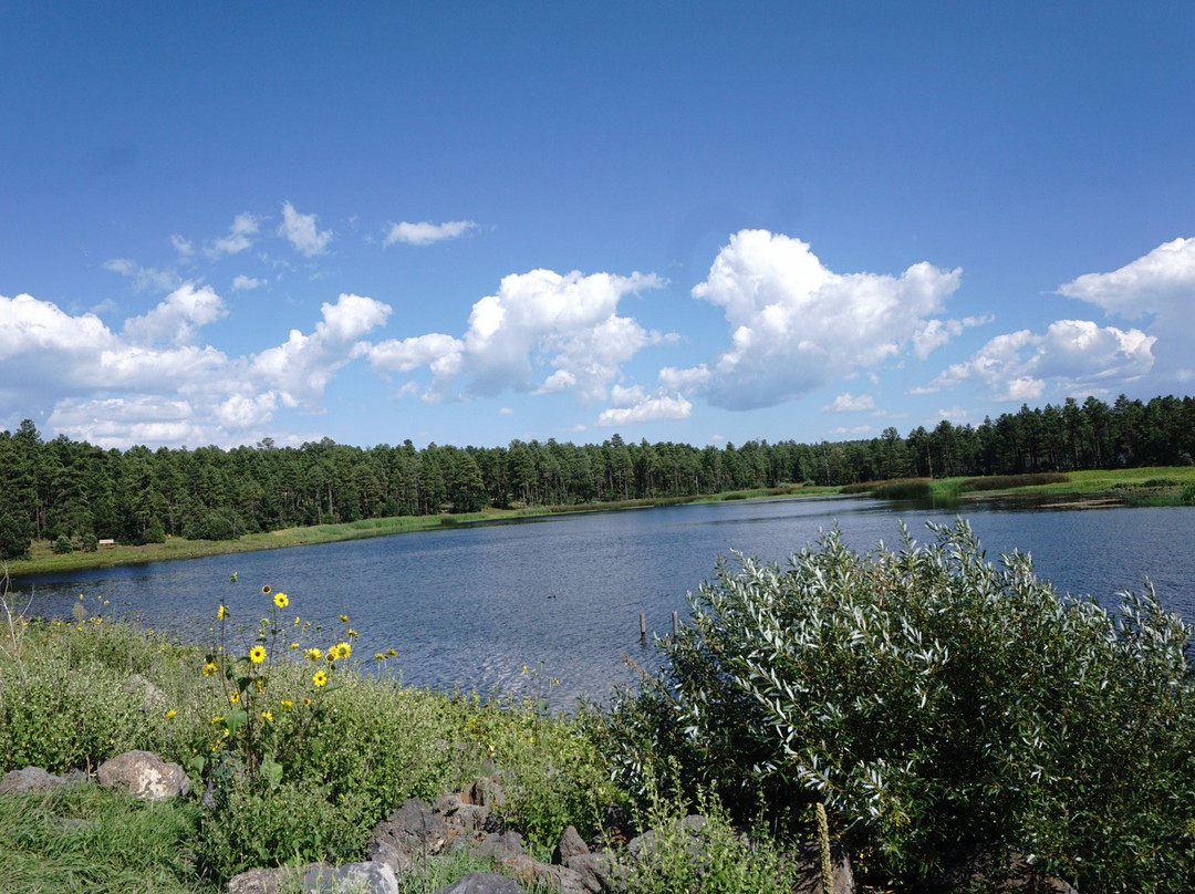 Woodland Lake Park景点图片