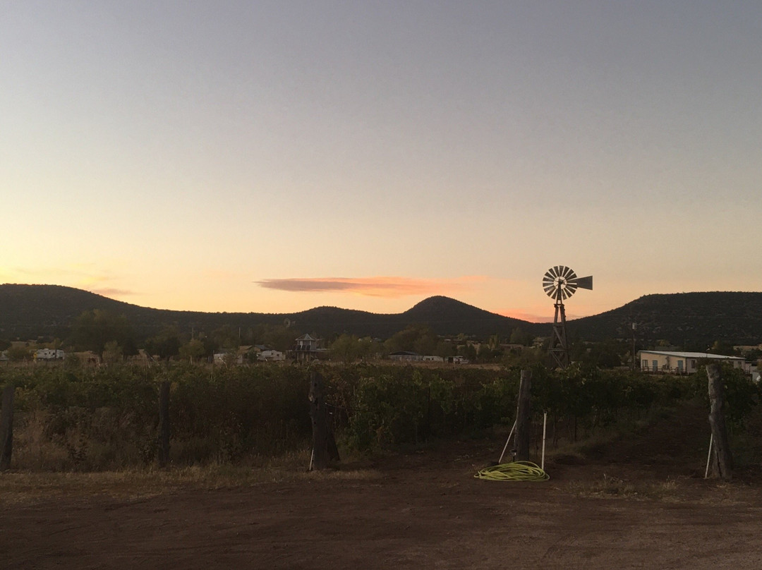 Young旅游景点-Bruzzi Vineyard