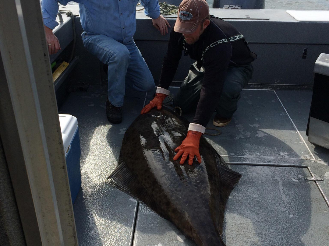 Taylor Charters Fishing