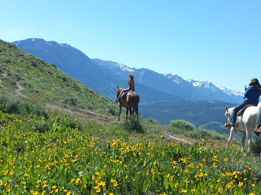 Mill Iron Ranch-杰克逊必去景点