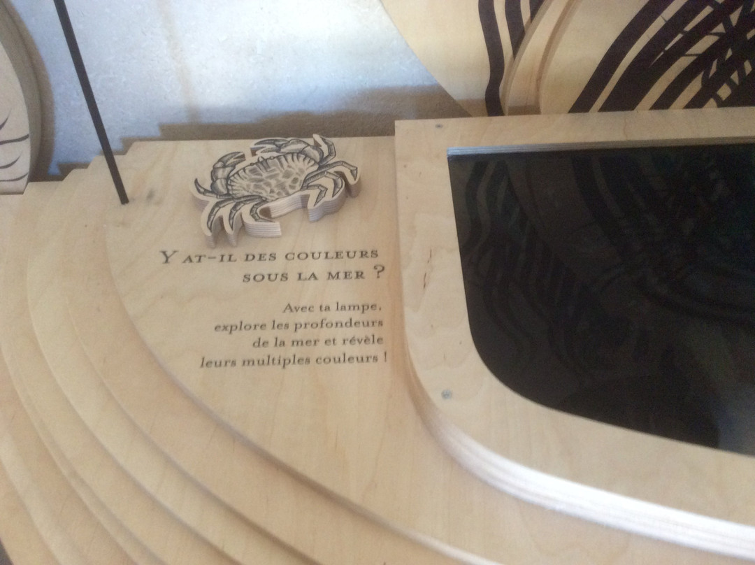 Maison de l'environnement insulaire-Ile Molene必去景点