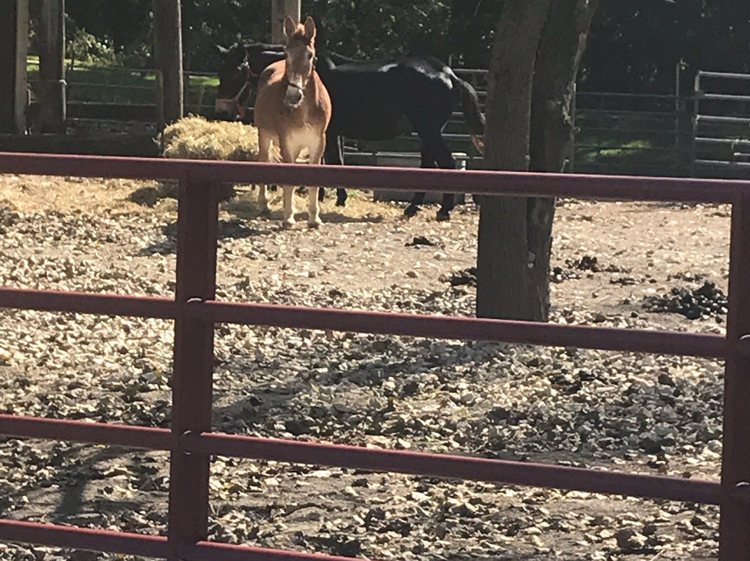 Illinois & Michigan Canal State Trail-LaSalle必去景点