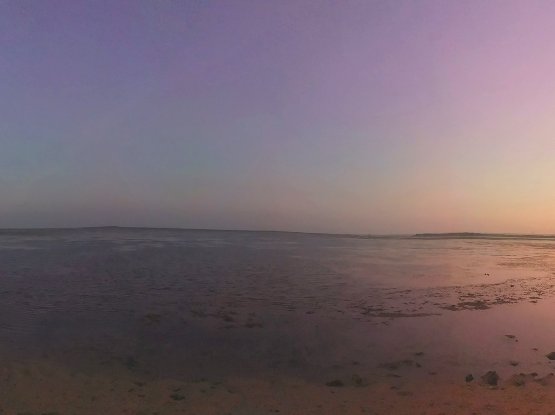 萨努尔海滩景点图片