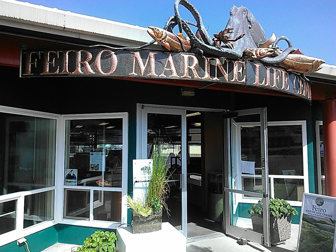 Feiro Marine Life Center景点图片