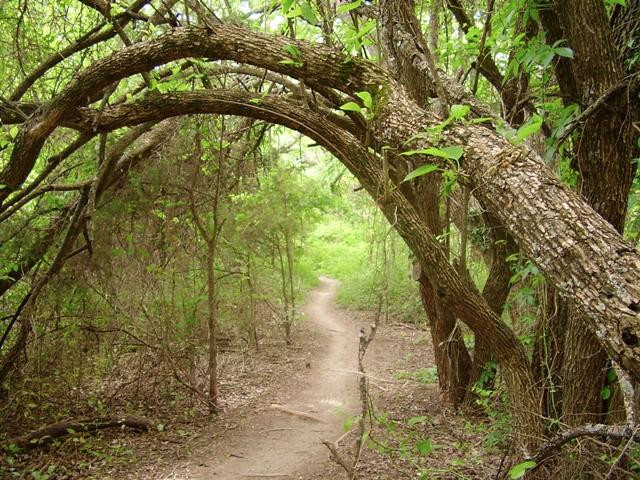 Erwin Park Hike & Bike Trail景点图片