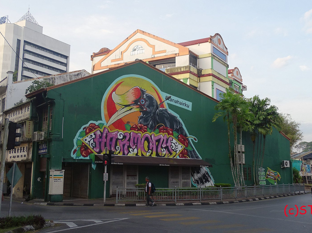 Hornbill Street Mural-古晋必去景点