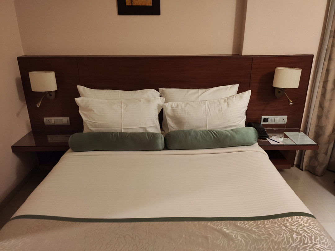 Hotel Green Olive主图