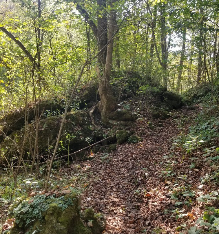 The Highlands Nature Sanctuary景点图片