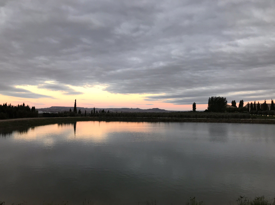 Aceite Artajo-Fontellas必去景点