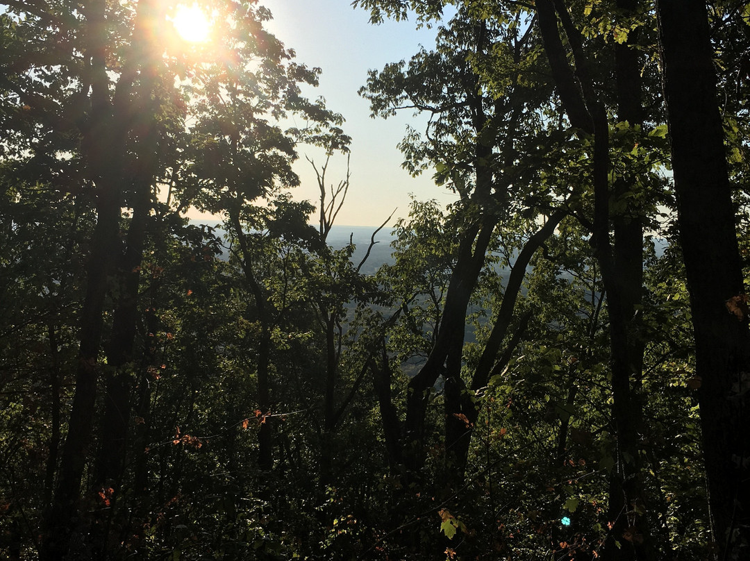 Pilot Knob Nature Preserve-Clay City必去景点
