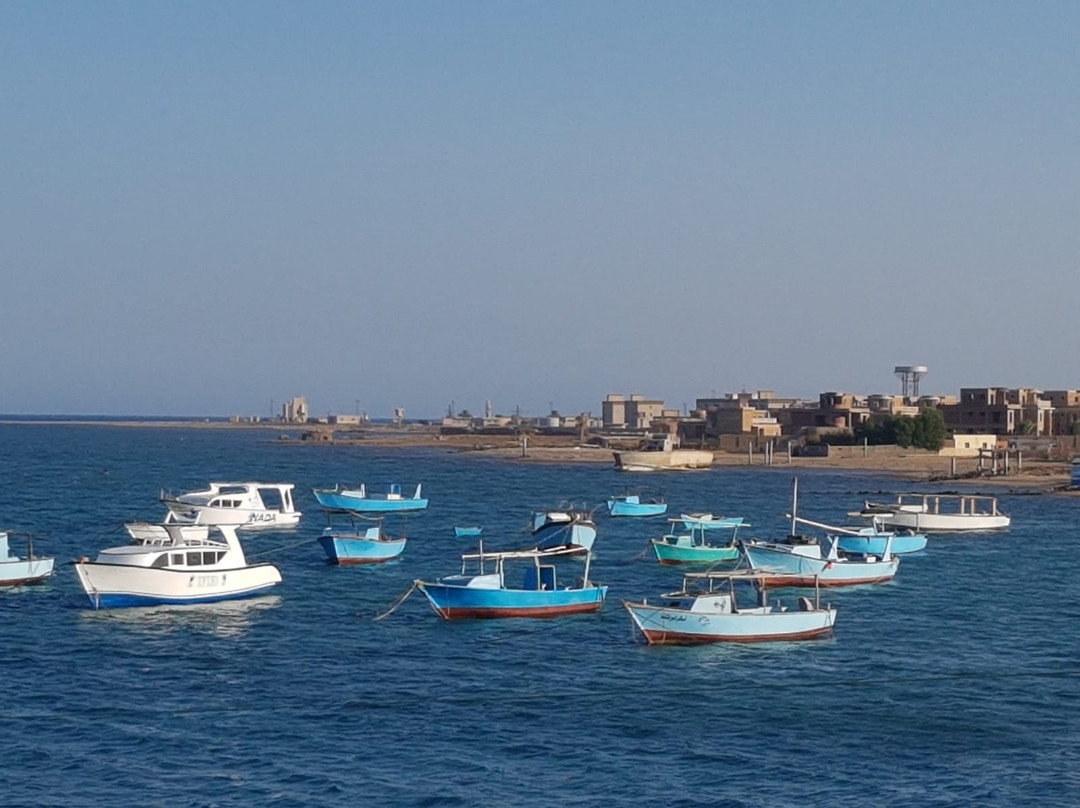 3 Turtles Diving Center-Safaga必去景点