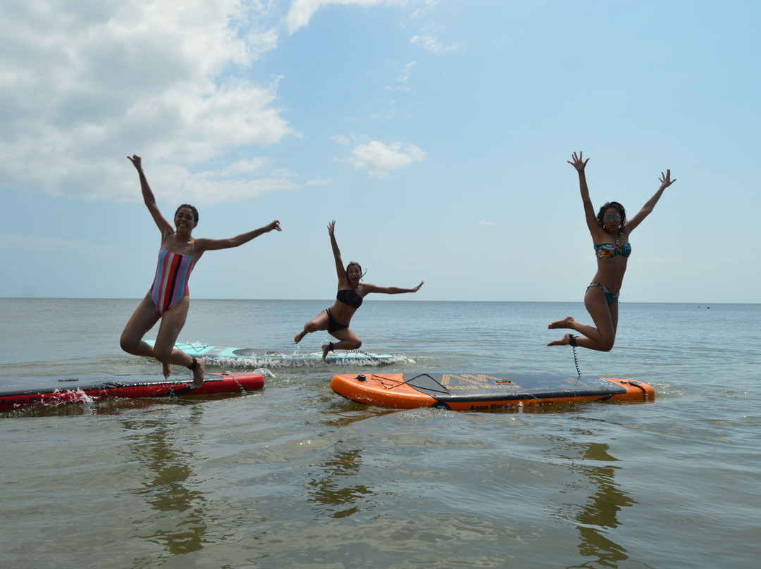 Farallon Paddle Co景点图片