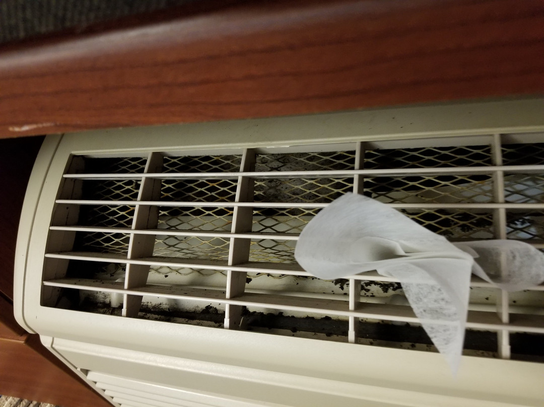 Microtel Inn & Suites By Wyndham Manistee主图