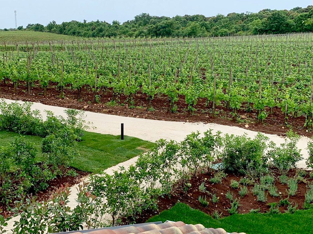 Meneghetti Wine Hotel & Winery主图