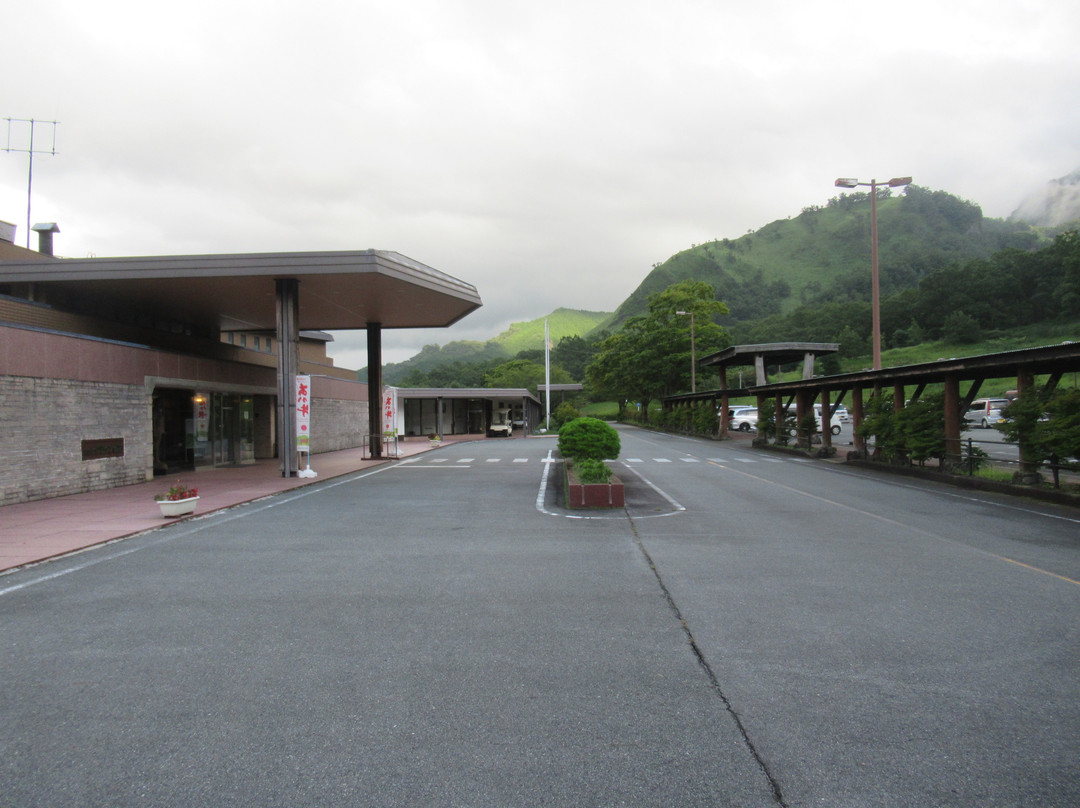 Hotel Greenpia Minamiaso主图