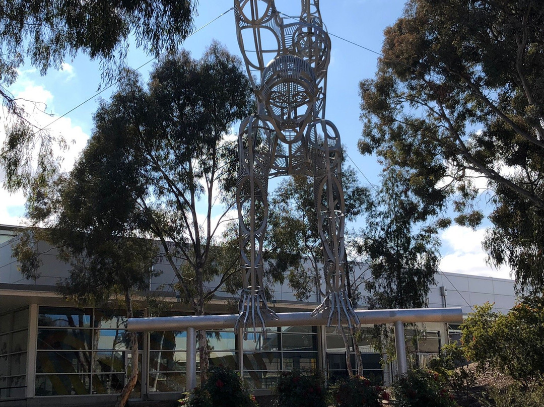 澳大利亚体育学院-Bruce必去景点