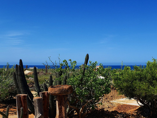 Danny Boy Cabo-卡波圣卢卡斯必去景点
