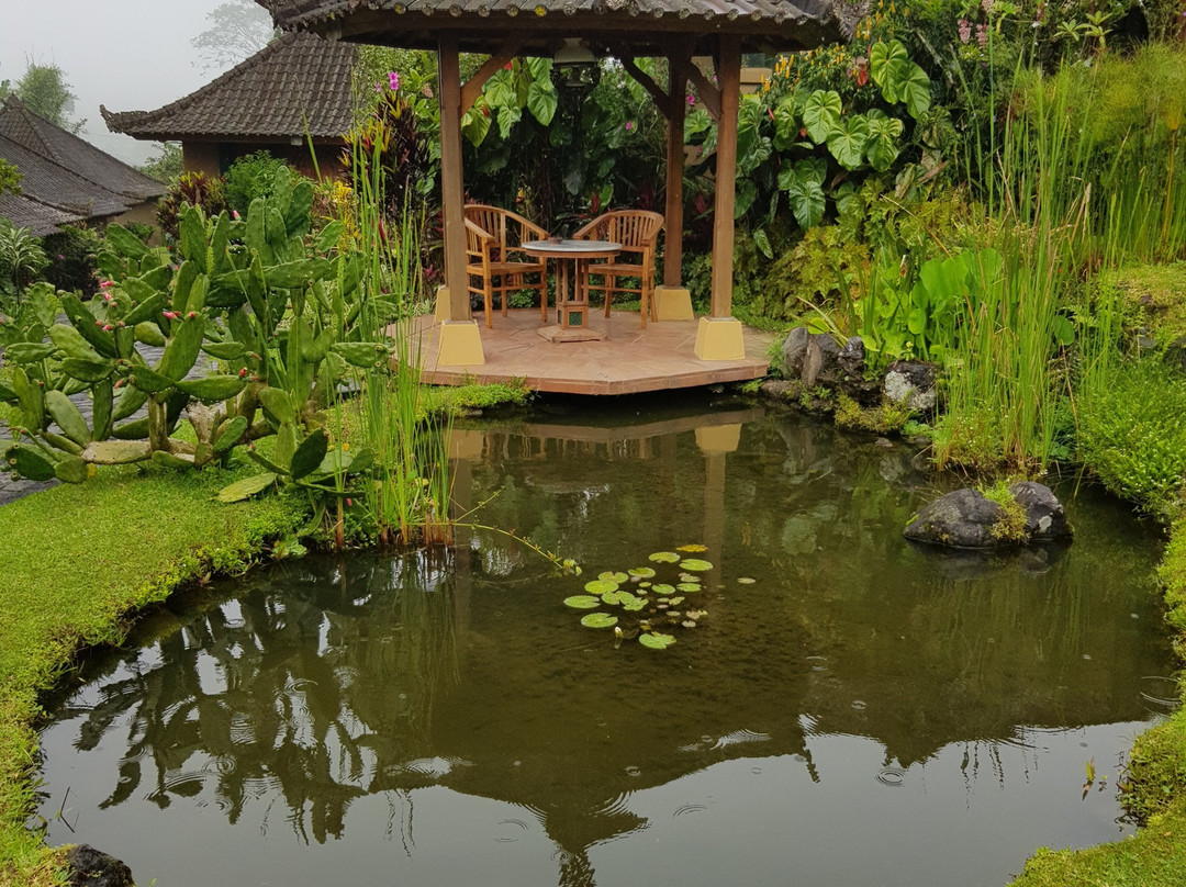 Strawberry Hill Hotel主图