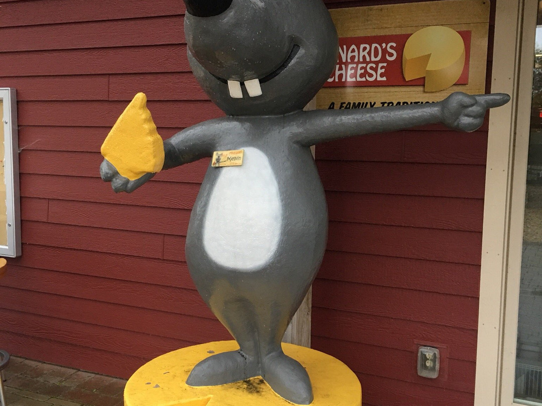 Renard's Cheese-斯特金贝必去景点