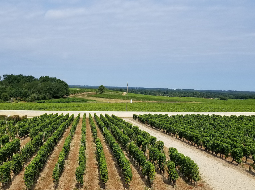 Château Lafaurie Peyraguey Hôtel & Restaurant Lalique主图