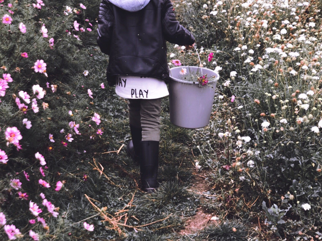 Fien Fleur