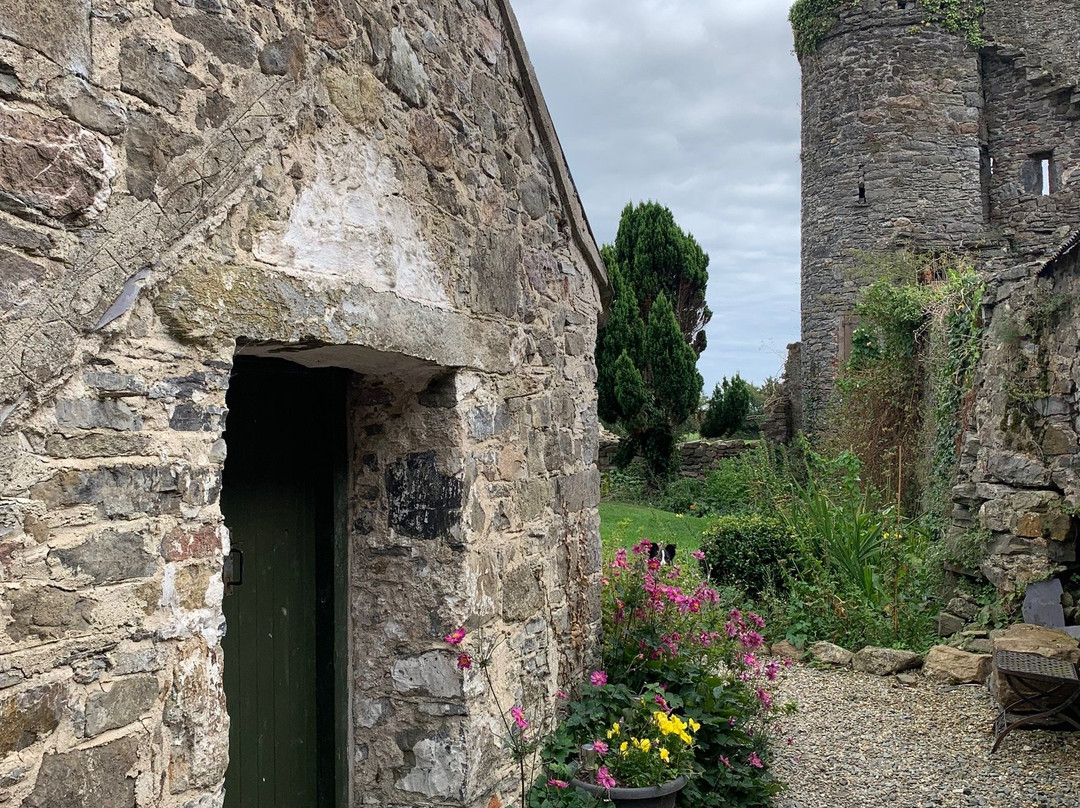 Killiane Castle Country House & Farm主图