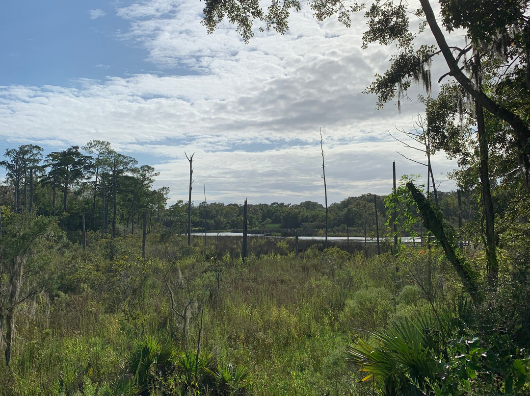 Pascagoula River Audubon Center景点图片