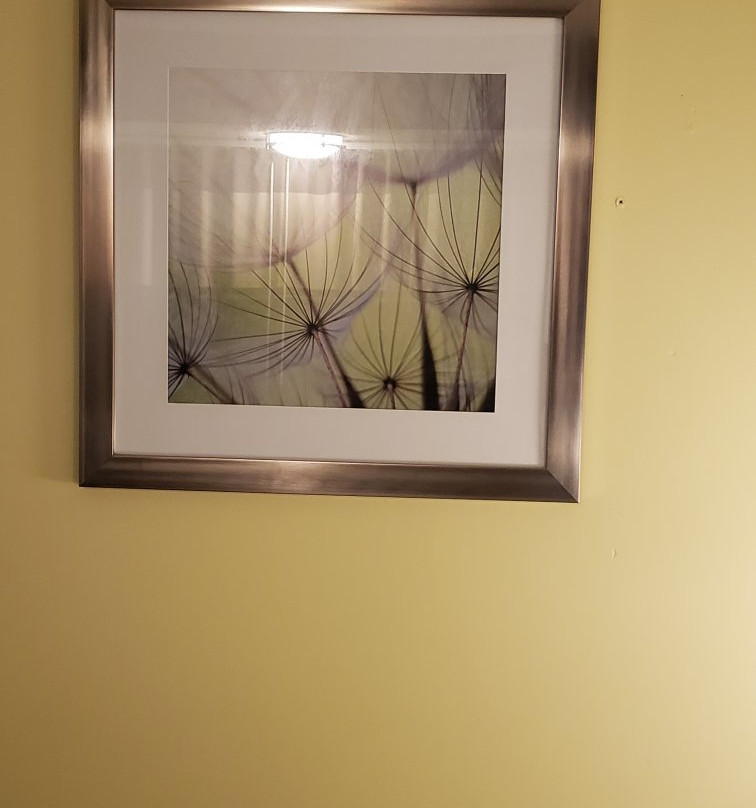 Microtel Inn & Suites by Wyndham Dry Ridge主图