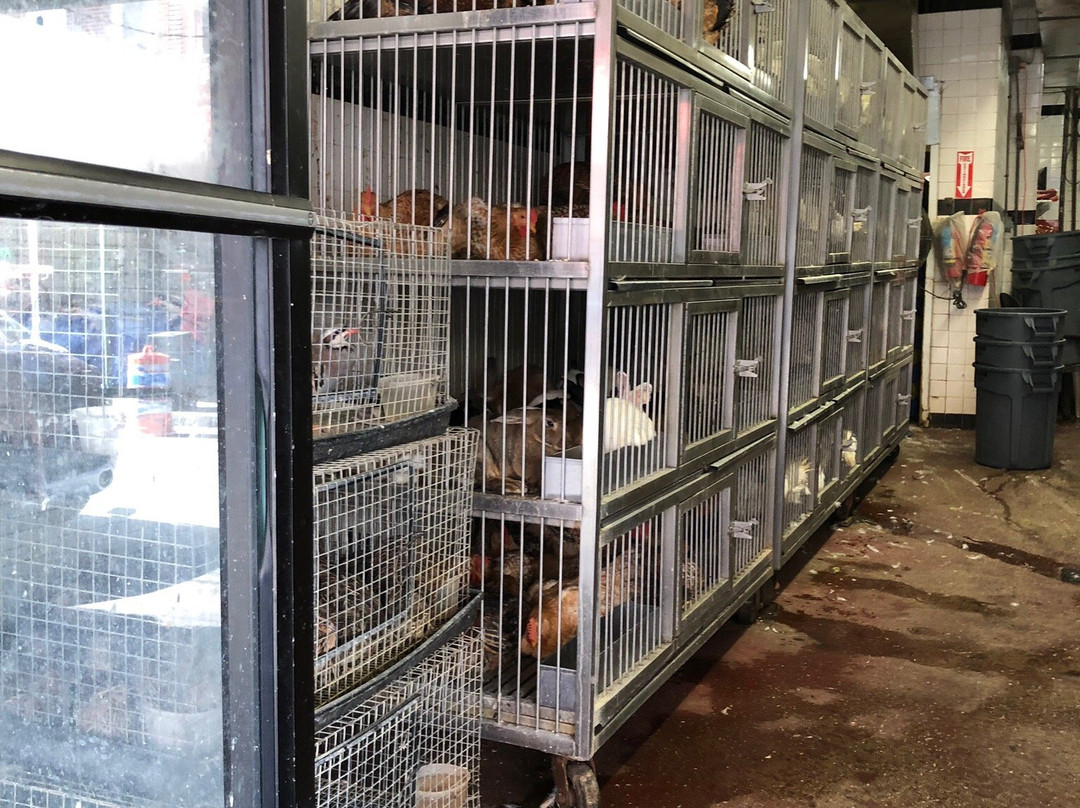 意大利集市-费城必去景点