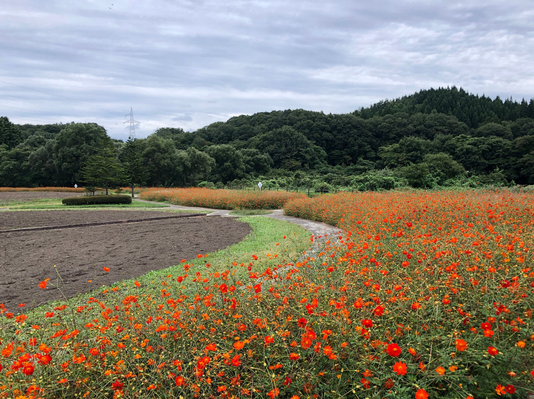 Lake Gosho Park Family Land-雫石町必去景点