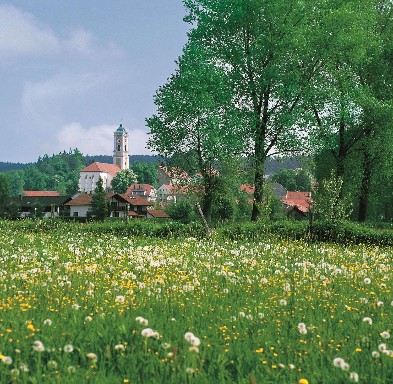 Best Western Aparthotel Birnbachhoehe-官方