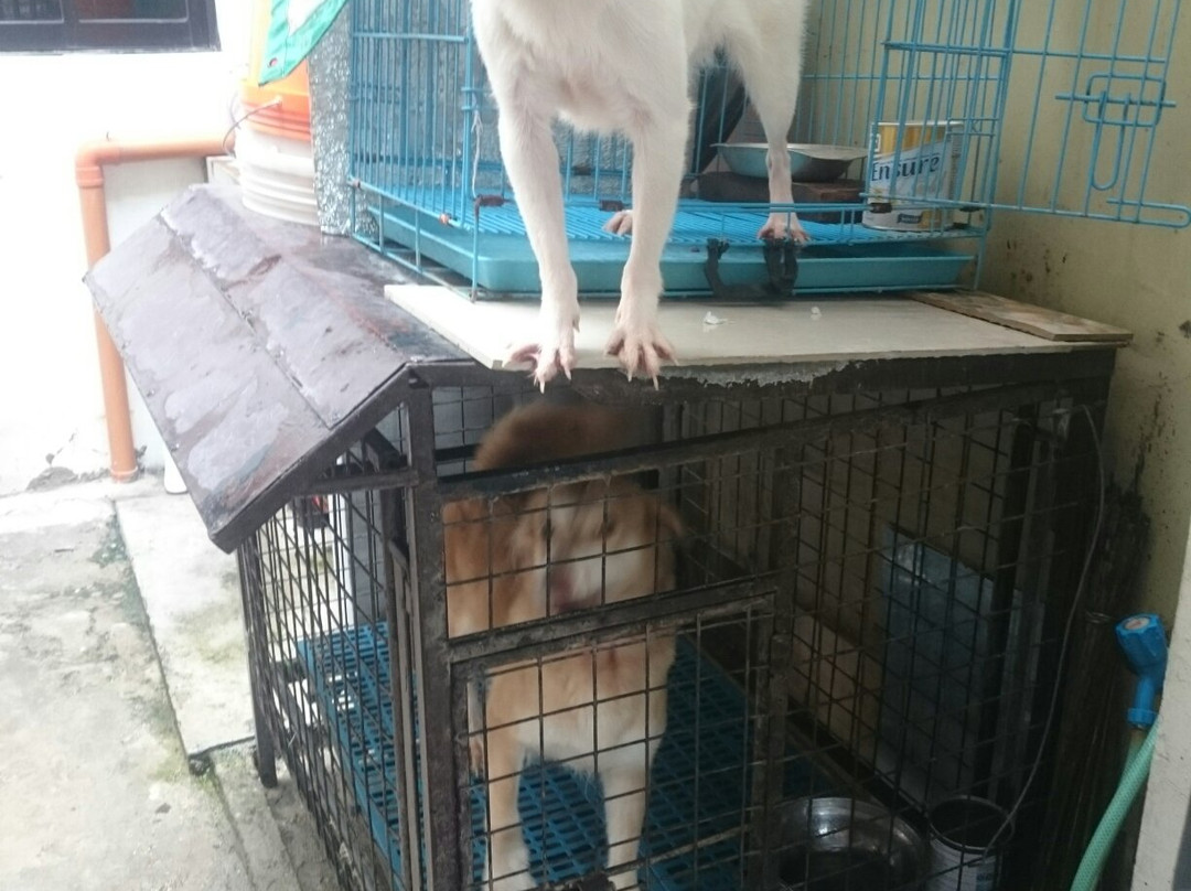 Carmona Municipal Park-Carmona必去景点