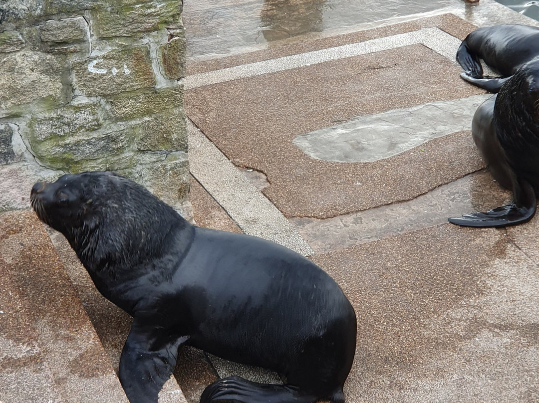 波多黎各德埃斯特角城-埃斯特角城必去景点
