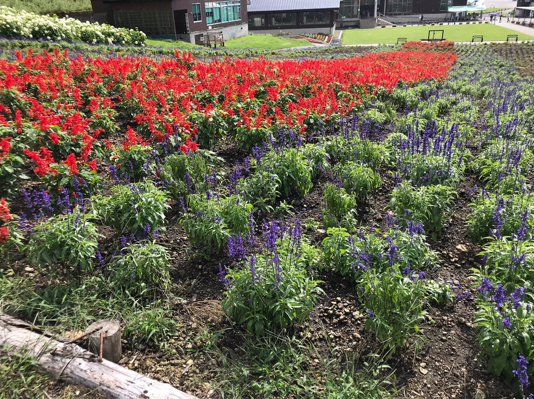 Tambara Kogen-沼田市必去景点