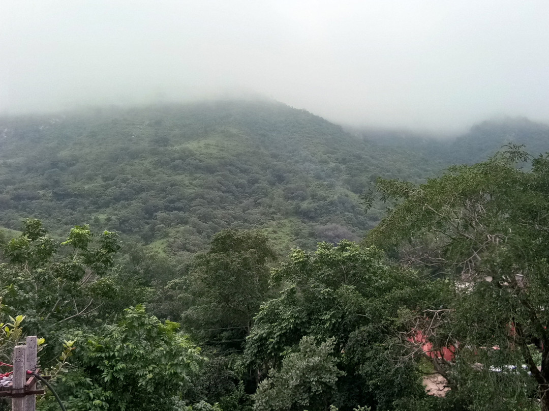 Palace RajKumbha主图