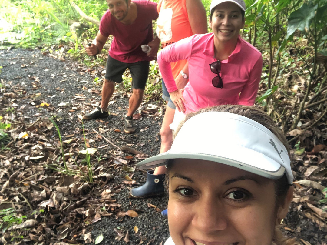 Jungle Land Panama Floating Lo主图