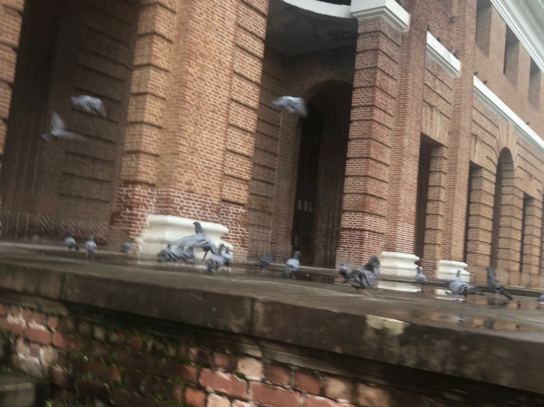 Forest Research Institute Museum景点图片