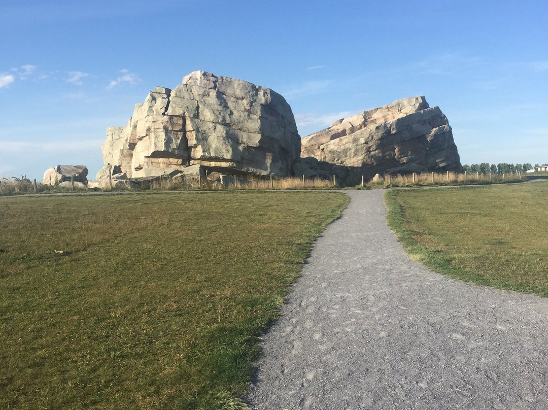 Okotoks Erratic - The Big Rock景点图片