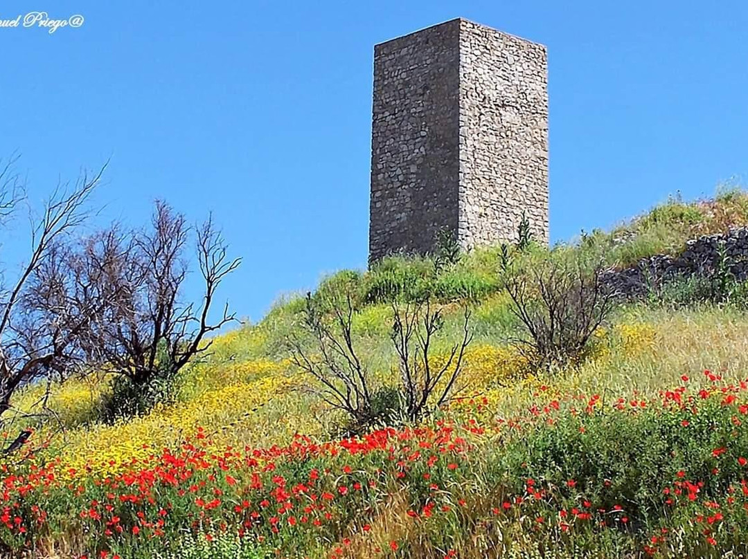 Aventur Baena-Baena必去景点