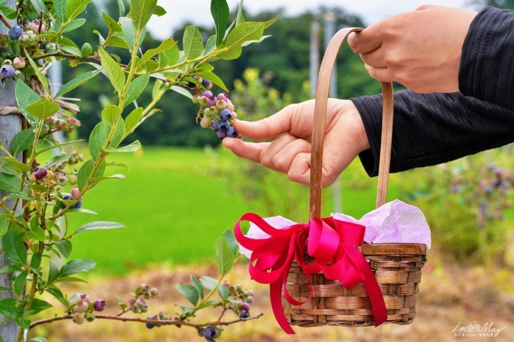 Daichan Farm Guest House主图