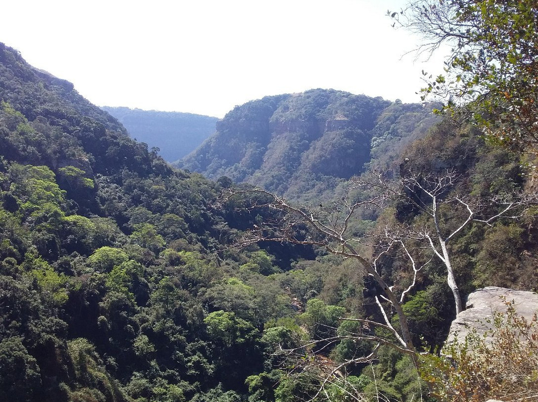 Krantzkloof Nature Reserve景点图片
